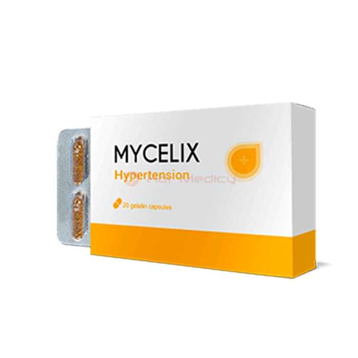 Mycelix în Fecioară - remediu pentru hipertensiune